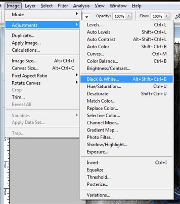 history brush