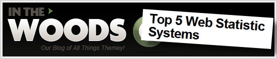 Top 5 Web Statistic Systems